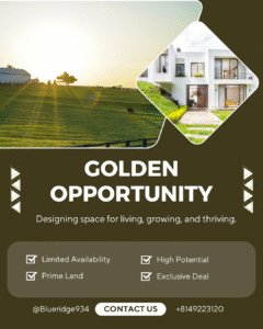  commercial Development